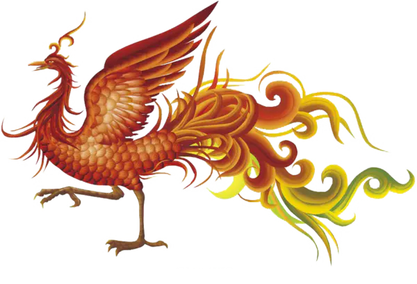 【PNG素材网-png.mixinnet.cn】带火的抽象火凤凰（800x545）