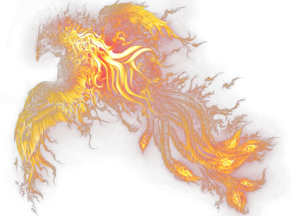 【PNG素材网-png.mixinnet.cn】带火的抽象火凤凰（588x433）