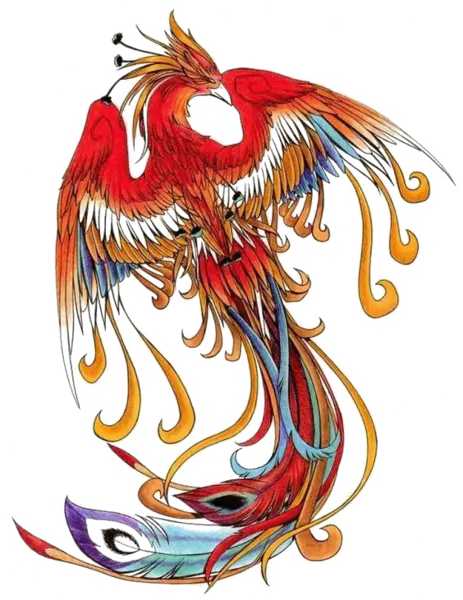【PNG素材网-png.mixinnet.cn】带火的抽象火凤凰（564x731）