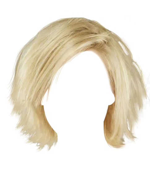 【PNG素材网-png.mixinnet.cn】假发[525x650]