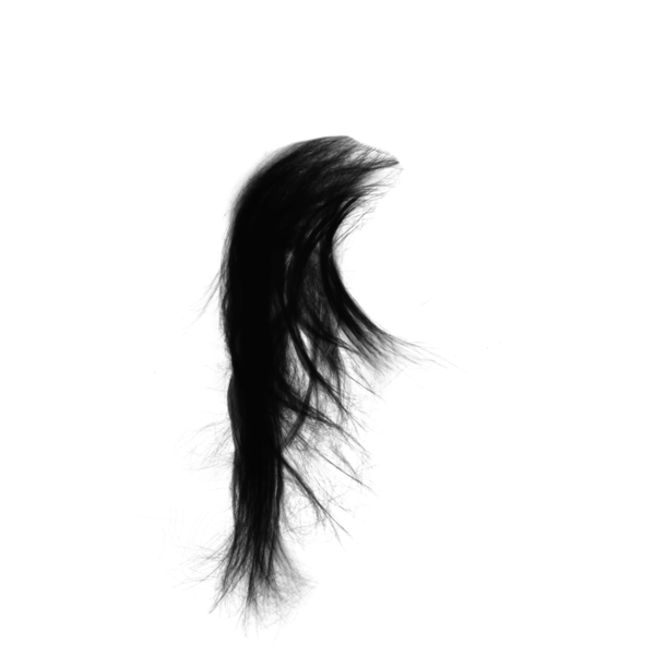 【PNG素材网-png.mixinnet.cn】假发[1772x1772]