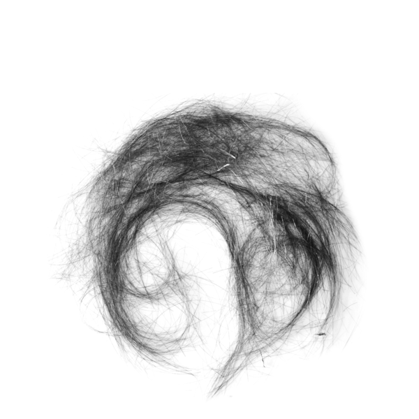 【PNG素材网-png.mixinnet.cn】假发[1772x1772]