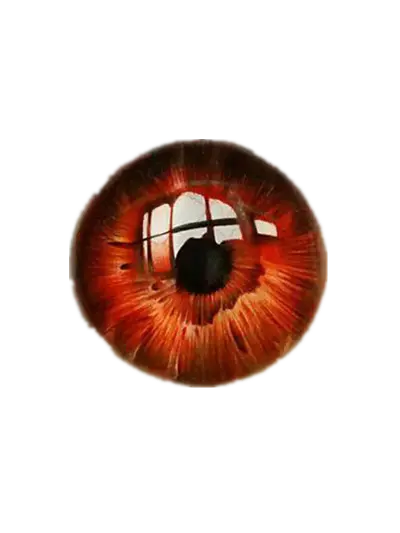 【PNG素材网-png.mixinnet.cn】瞳孔-400x533