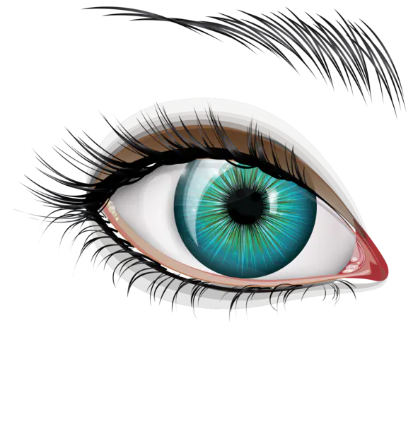 【PNG素材网-png.mixinnet.cn】瞳孔-1550x1593