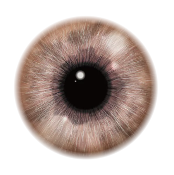 【PNG素材网-png.mixinnet.cn】瞳孔-1610x1623