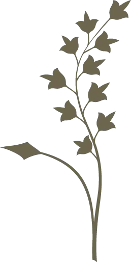 【PNG素材网-png.mixinnet.cn】植物花纹