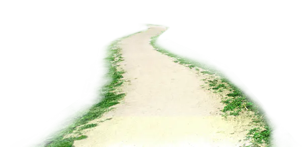【PNG素材网-png.mixinnet.cn】绿荫小土路免抠图