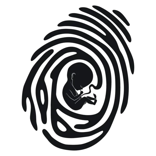 【PNG素材网-png.mixinnet.cn】指纹里的胎儿