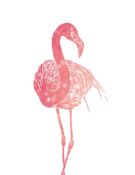 【PNG素材网-png.mixinnet.cn】火烈鸟