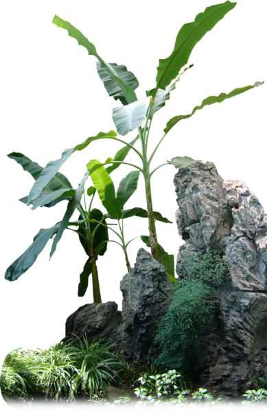 【PNG素材网-png.mixinnet.cn】假山