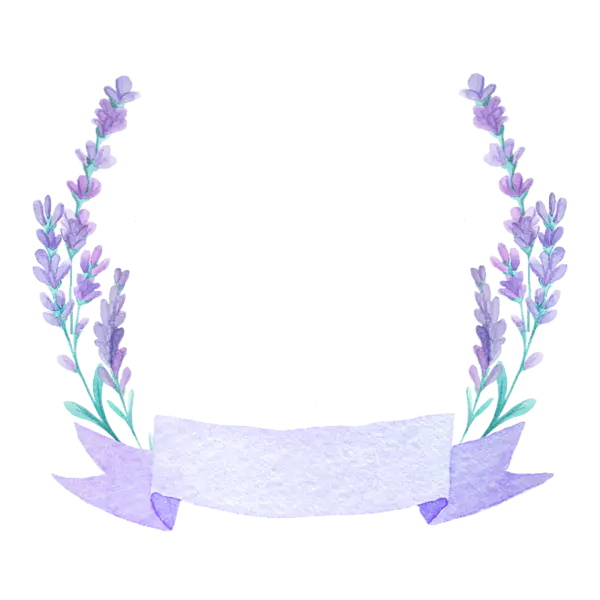 【PNG素材网-png.mixinnet.cn】花边素材