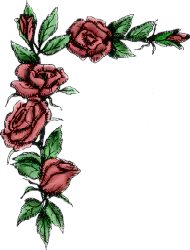 【PNG素材网-png.mixinnet.cn】png装饰花饰角【13】