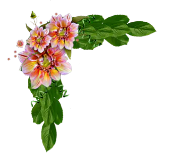 【PNG素材网-png.mixinnet.cn】png装饰花饰角【17】