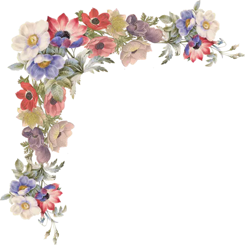 【PNG素材网-png.mixinnet.cn】png装饰花饰角【30】