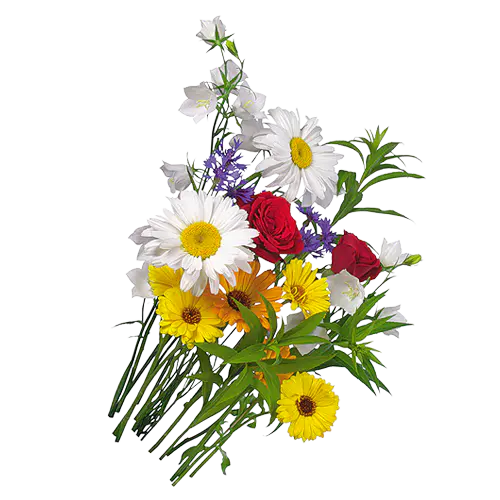 【PNG素材网-png.mixinnet.cn】情人节花束