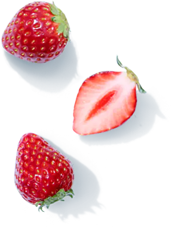 【PNG素材网-png.mixinnet.cn】水果植物草莓红色(340x483)