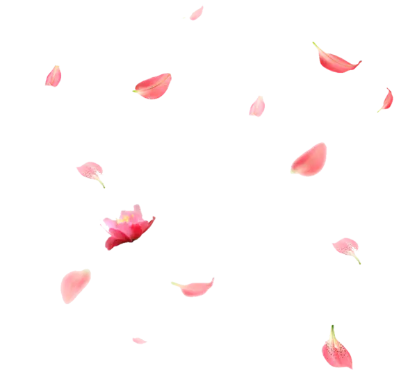 【PNG素材网-png.mixinnet.cn】花瓣素材大图(1024x909)
