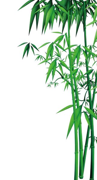 【PNG素材网-png.mixinnet.cn】卡通竹子(2000x3719)