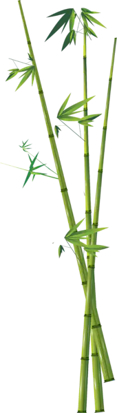 【PNG素材网-png.mixinnet.cn】叶子(1589x5623)