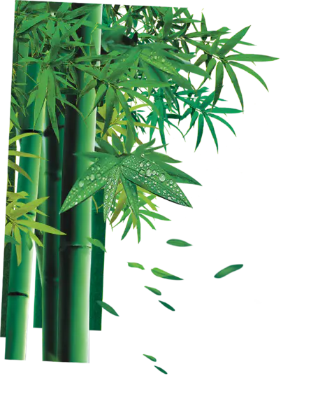 【PNG素材网-png.mixinnet.cn】竹子(747x1008)