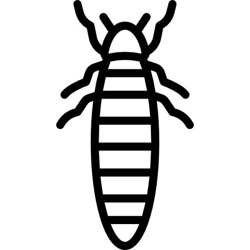 【PNG素材网-png.mixinnet.cn】萤火虫图标图片