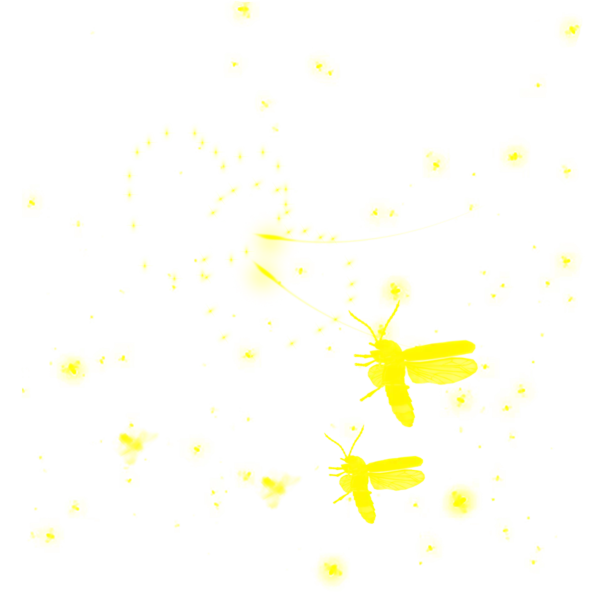 【觅图网-pic.51mitu.com】闪闪发光的萤火虫[2000x2000]