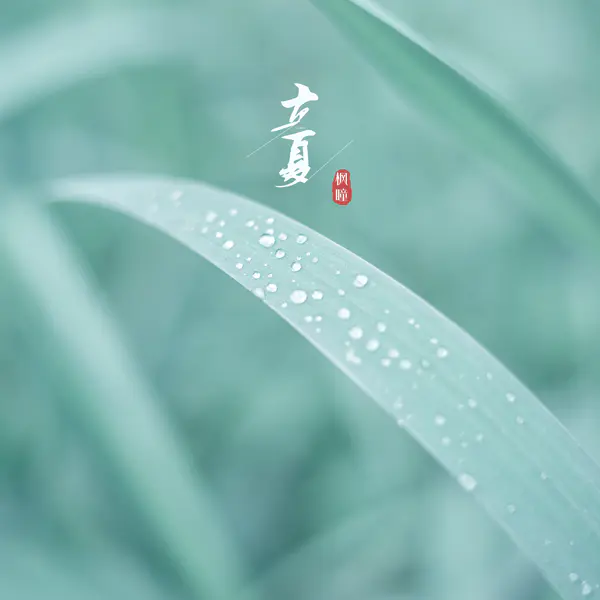 【PNG素材网-png.mixinnet.cn】二十四节气——立夏背景