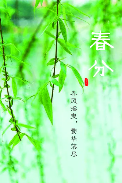 【PNG素材网-png.mixinnet.cn】春分海报制作背景