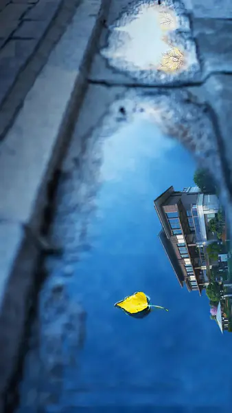 【PNG素材网-png.mixinnet.cn】立秋节气节气背景
