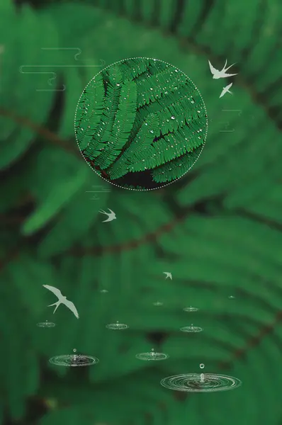 【觅图网-pic.51mitu.com】清新极简二十四节气立夏海报背景模板背景