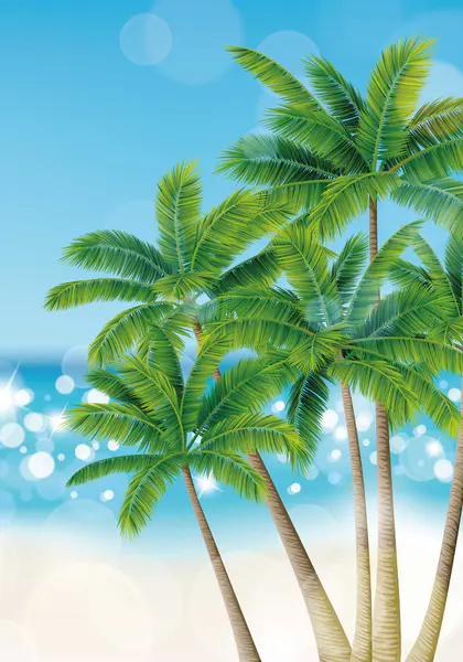 【PNG素材网-png.mixinnet.cn】海边椰树背景模版背景