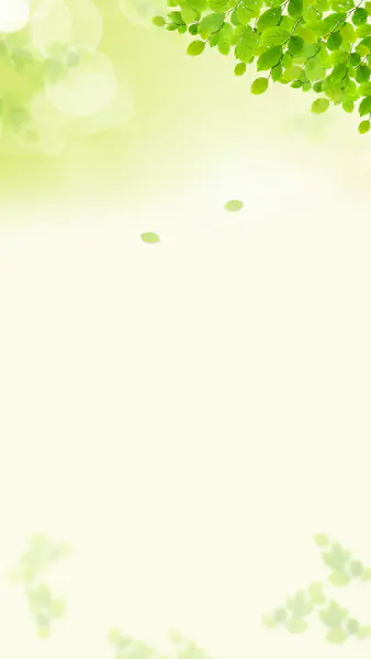 【觅图网-pic.51mitu.com】小清新春天绿叶H5背景背景