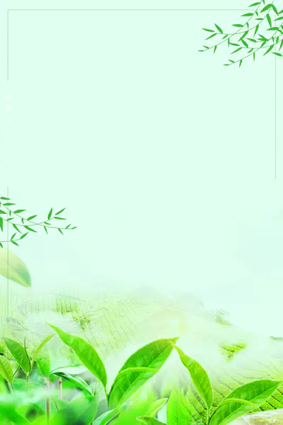 【觅图网-pic.51mitu.com】浅绿色手绘春季上新柳春天