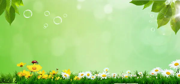 【PNG素材网-png.mixinnet.cn】春天背景背景