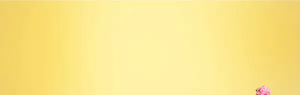 【觅图网-pic.51mitu.com】电商放射线线黄色背景banner