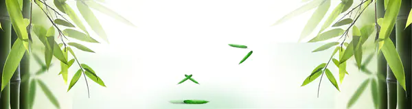 【PNG素材网-png.mixinnet.cn】素雅背景