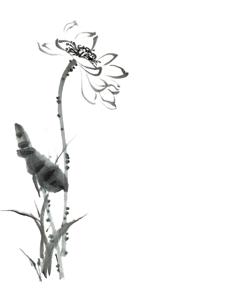 【PNG素材网-png.mixinnet.cn】中国风水墨荷花(4535x5669）