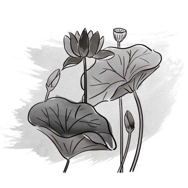 【PNG素材网-png.mixinnet.cn】中国风水墨荷花(3543x3044）