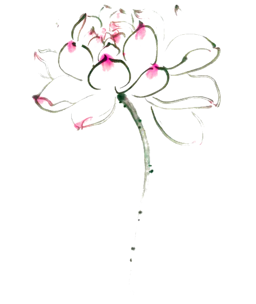 【PNG素材网-png.mixinnet.cn】中国风水墨荷花(1181x1580）