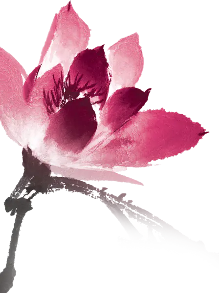 【PNG素材网-png.mixinnet.cn】中国风水墨荷花(2150x1229）