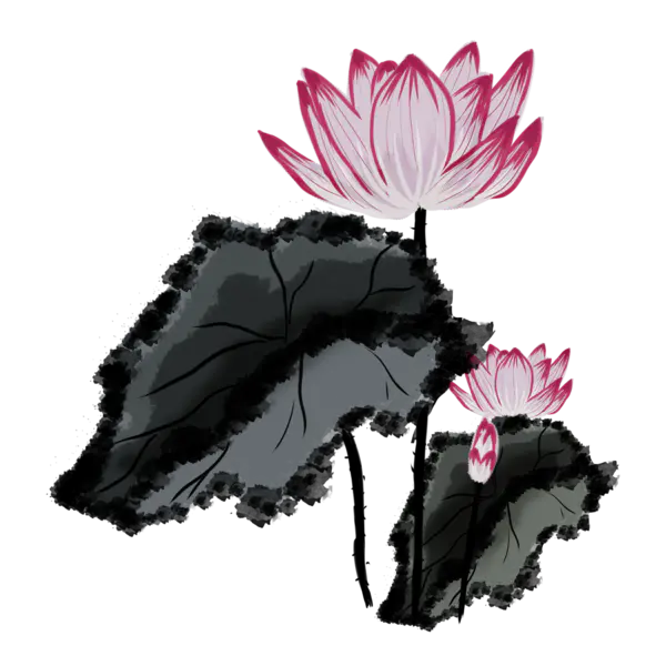 【PNG素材网-png.mixinnet.cn】中国风水墨荷花(2480x3508）