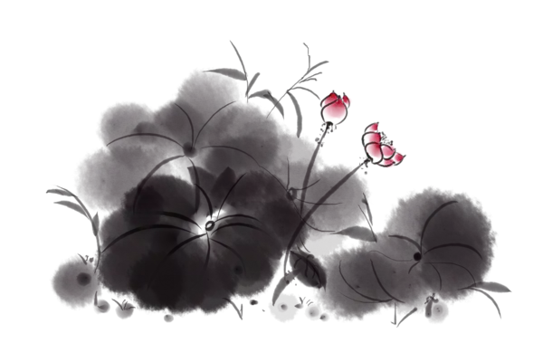 【PNG素材网-png.mixinnet.cn】中国风水墨荷花(3000x2000）