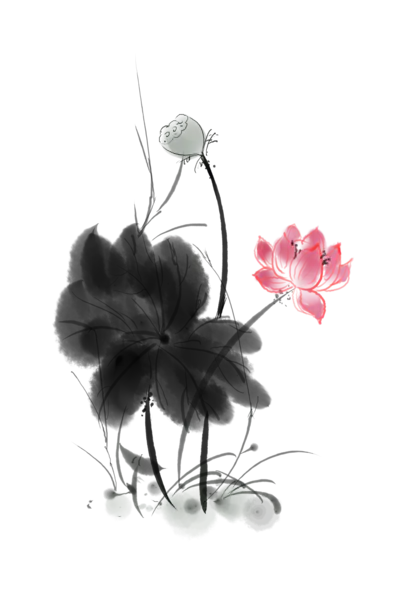 【PNG素材网-png.mixinnet.cn】中国风水墨荷花(3000x2000）