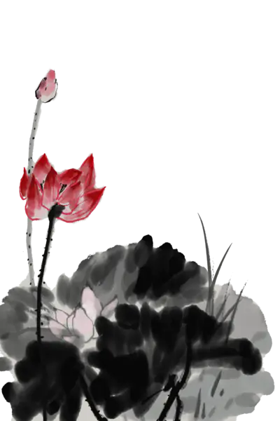 【PNG素材网-png.mixinnet.cn】中国风水墨荷花(3543x5315）