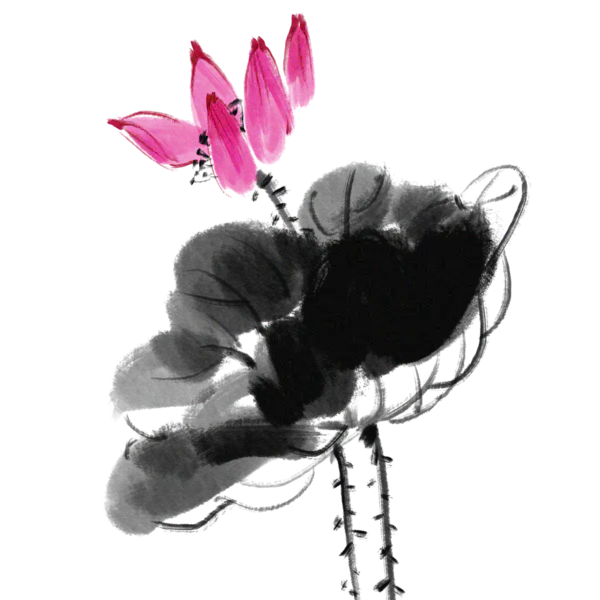 【PNG素材网-png.mixinnet.cn】中国风水墨荷花(1544x1526）