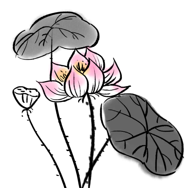 【PNG素材网-png.mixinnet.cn】中国风水墨荷花(2000x2000）