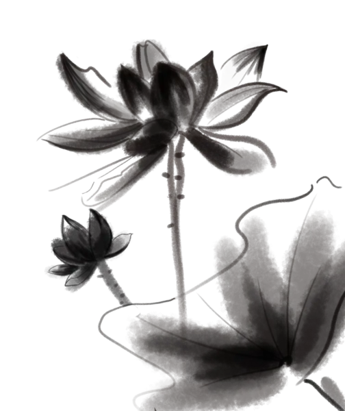 【PNG素材网-png.mixinnet.cn】中国风水墨荷花(2000x1500）