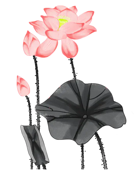 【PNG素材网-png.mixinnet.cn】中国风水墨荷花(2200x3300）