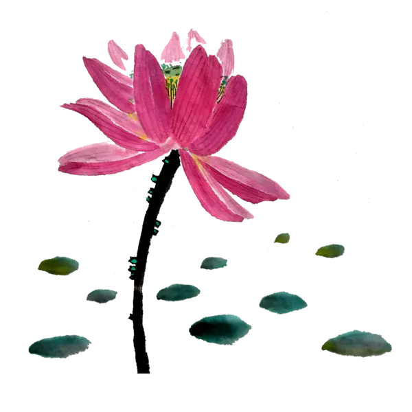 【觅图网-pic.51mitu.com】中国风水墨荷花(4000x4000）