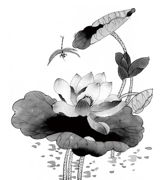 【PNG素材网-png.mixinnet.cn】中国风水墨荷花(1128x1554）